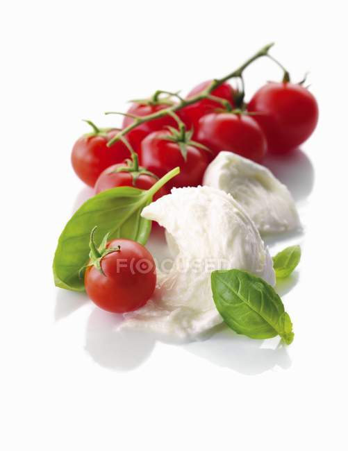 Mozzarella with fresh basil and tomatoes — Stock Photo