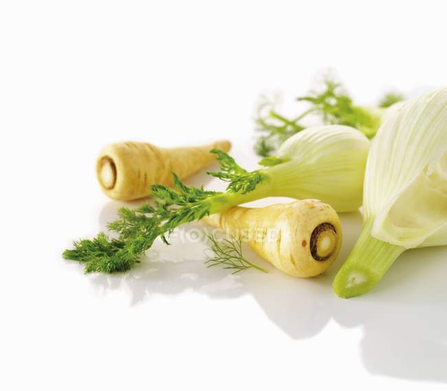 Parsnips and fresh fennel — Stock Photo
