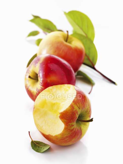 Свіжі стиглі червоні яблука — стокове фото