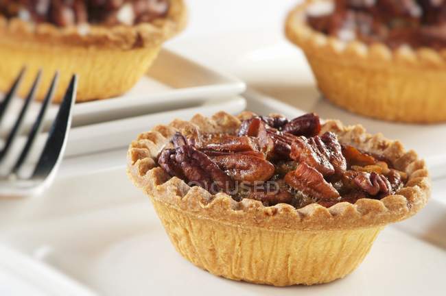 Individual Pecan Pie — Stock Photo