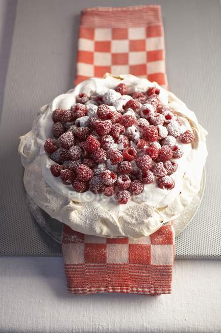 Closeup view of Pavlova topped with whipped cream, raspberries and powdered sugar — Stock Photo