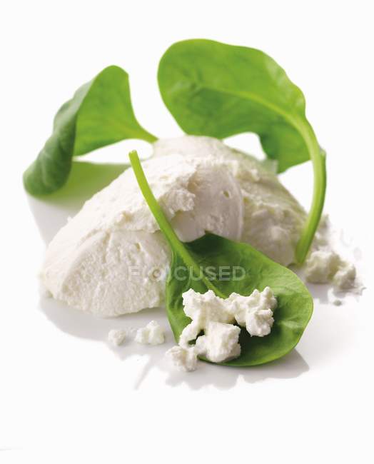 Ricotta and fresh leaves — Stock Photo
