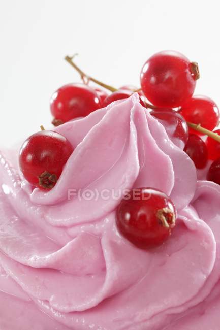 Quark cream with redcurrants — Stock Photo