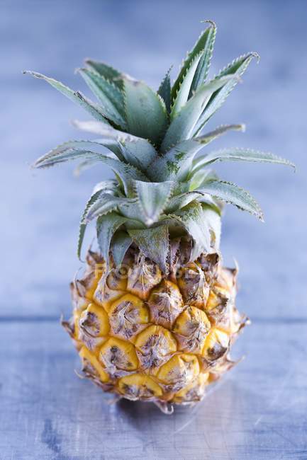 Ripe baby pineapple — Stock Photo