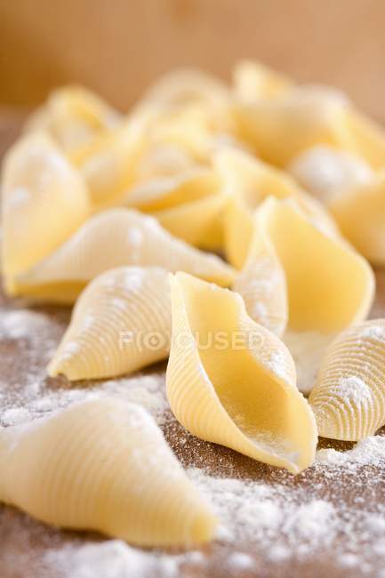 Dried pasta shells and flour — Stock Photo