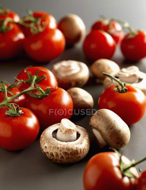 Красные помидоры и грибы — стоковое фото