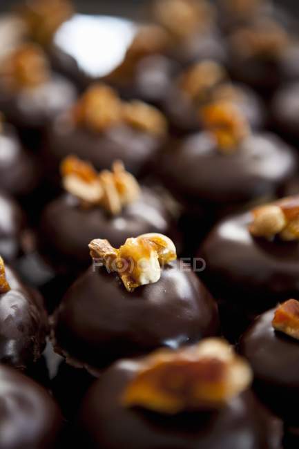 Chocolate Covered Hazelnuts — Stock Photo