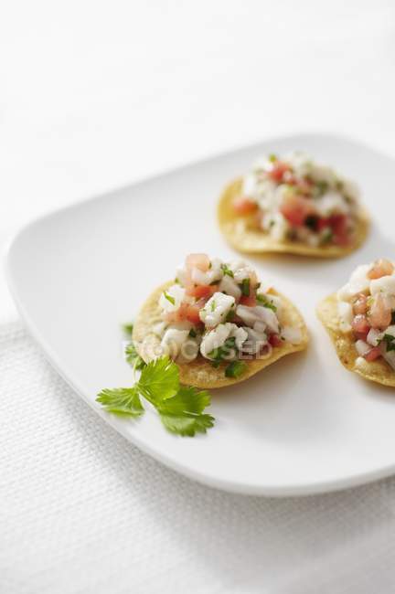 Tilapia Ceviche on corn chips with herb on a white plate — Stock Photo