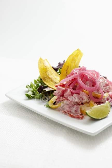 Closeup view of Ceviche with tuna, coconut milk and pickled onions — Stock Photo