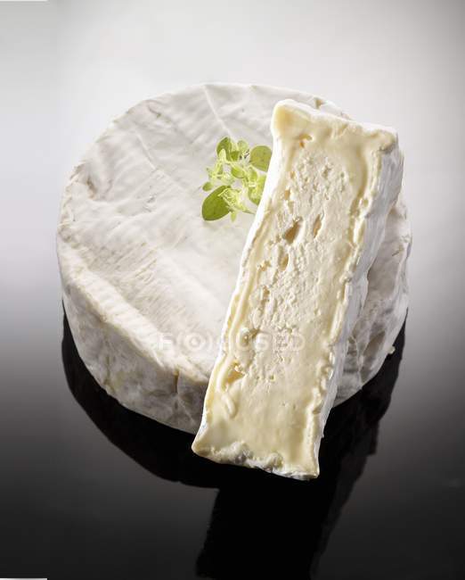 Round Camembert cheese — Stock Photo