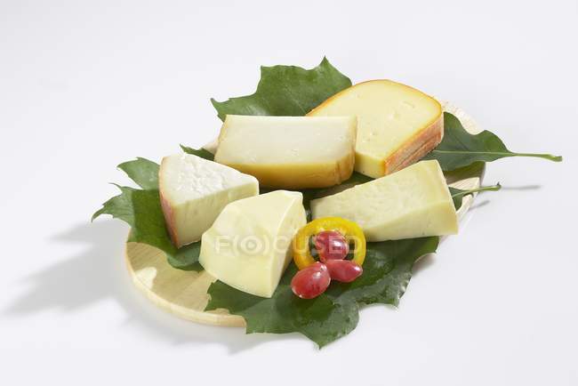 Spanish cheeses on leaves — Stock Photo