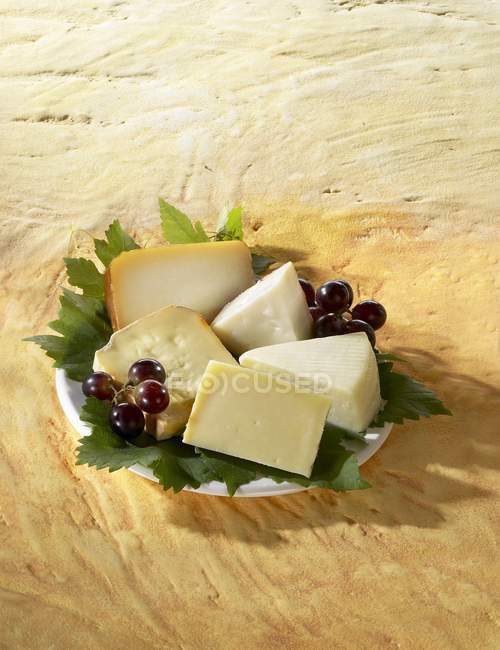 Cheese platter from Spain — Stock Photo