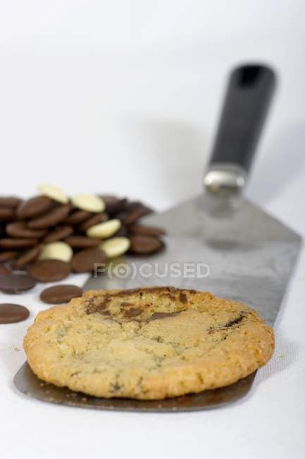 Cookie aux pépites de chocolat — Photo de stock