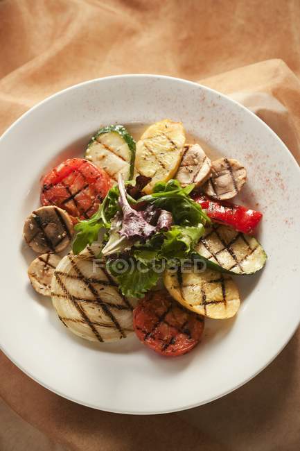 Grilled Vegetable Plate over cloth — Stock Photo