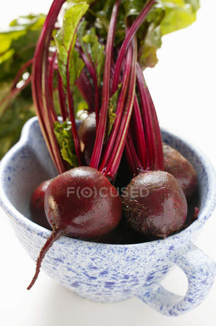Beetroot with leaves in cup — Stock Photo