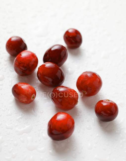 Fresh ripe cranberries — Stock Photo