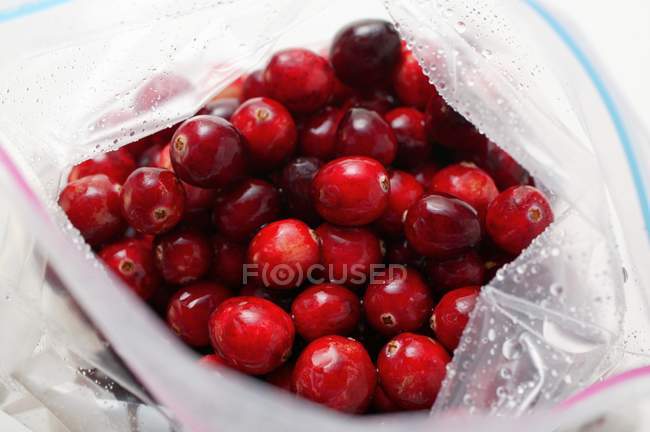 Cranberries no saco do congelador — Fotografia de Stock