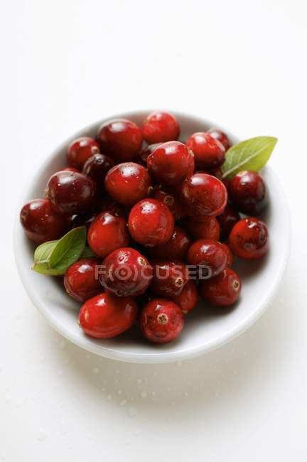 Cranberries com gotas de água — Fotografia de Stock