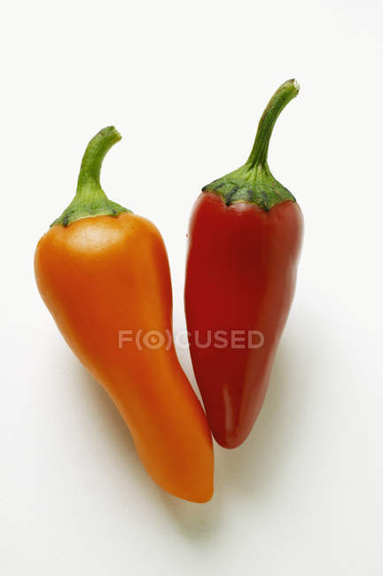 Pimentas vermelhas e laranja — Fotografia de Stock