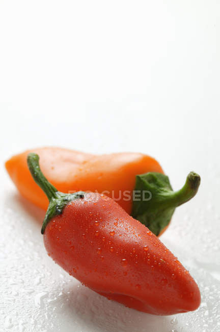 Chili peppers with drops of water — Stock Photo