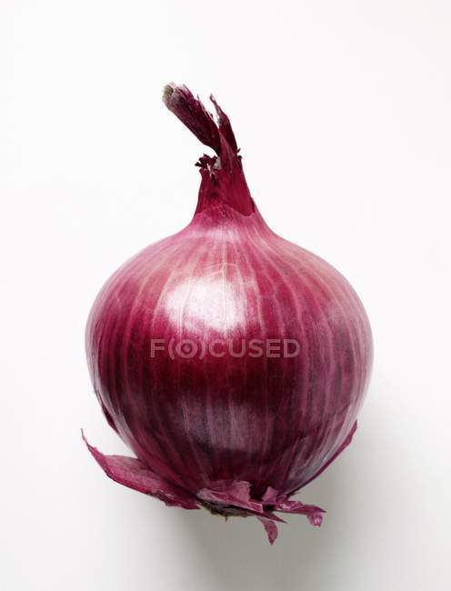Whole Red onion — Stock Photo
