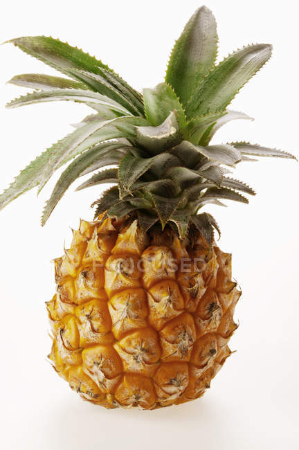 Свежий детский ананас — стоковое фото