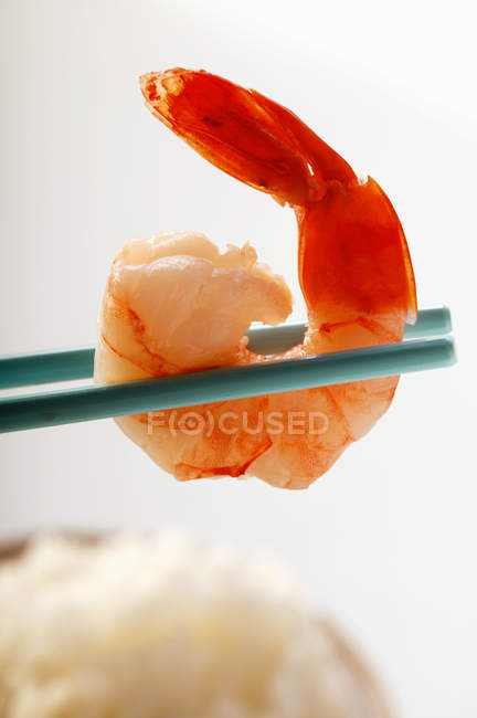 Red small shrimp on chopsticks — Stock Photo