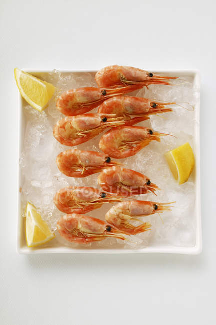 Boiled shrimps with lemon slices — Stock Photo