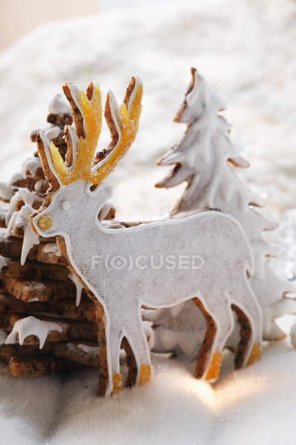 Chocolate stag biscuit — Stock Photo