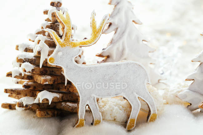 Chocolate stag biscuit — Stock Photo