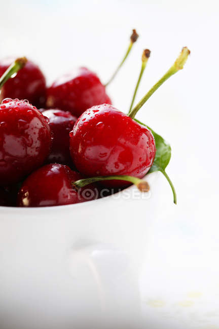 Fresh red cherries — Stock Photo