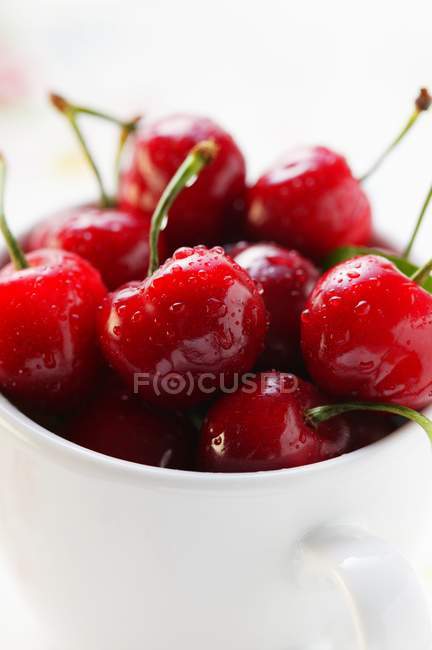 Свежие красные вишни — стоковое фото