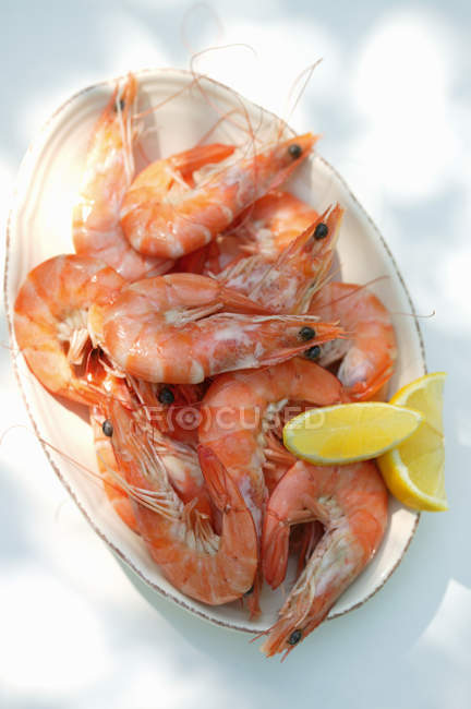 Fresh boiled shrimps — Stock Photo