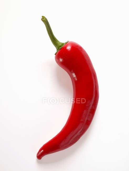 Red chili pepper — Stock Photo