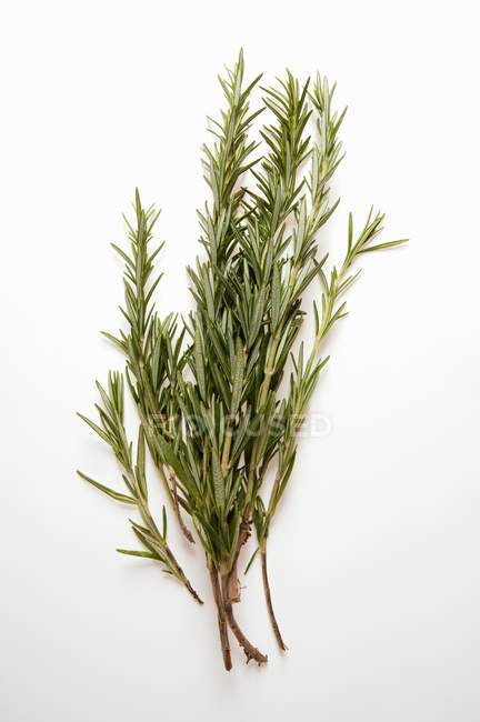 Fresh Rosemary sprigs — Stock Photo