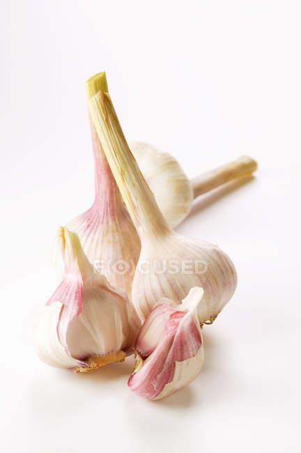 Bulb halved on white — Stock Photo