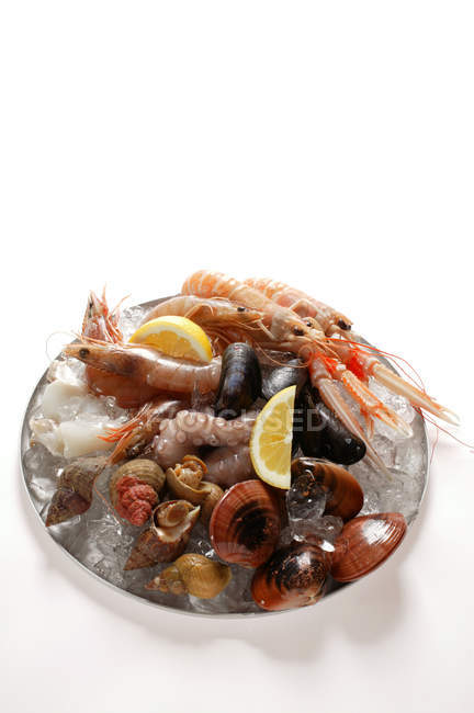 Vue surélevée des fruits de mer sur une assiette de glace concassée — Photo de stock