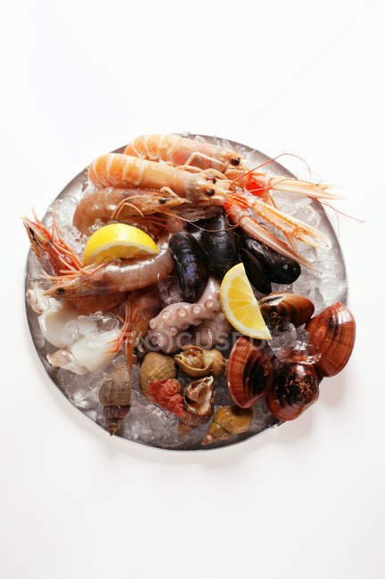 Top view of seafood on plate of crushed ice — Stock Photo