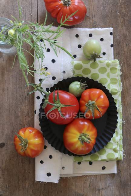 Arranjo de tomates de jardim frescos — Fotografia de Stock