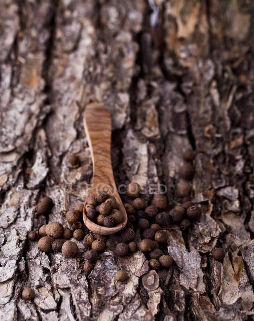 Allspice on a wooden spoon on a piece of bark — Stock Photo