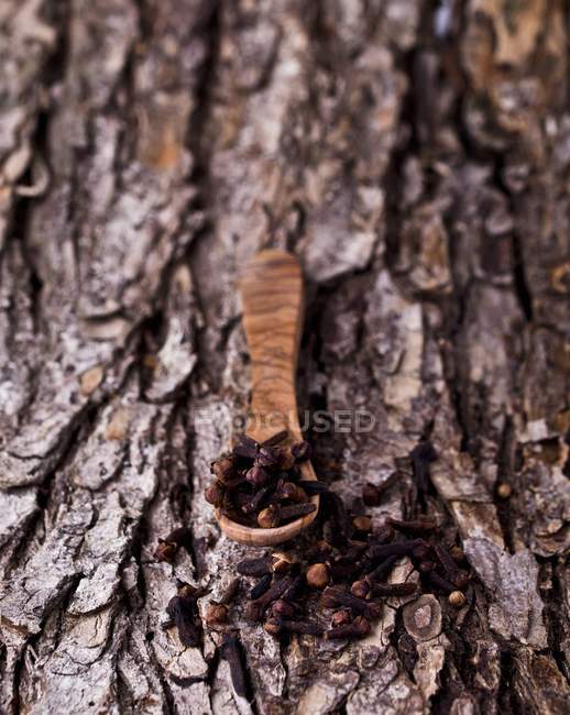 Cloves in wooden spoon — Stock Photo