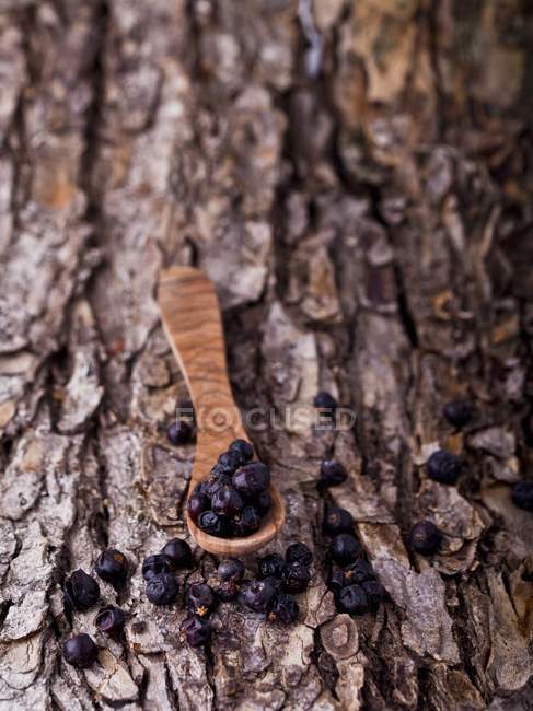 Juniper berries with wooden spoon — Stock Photo