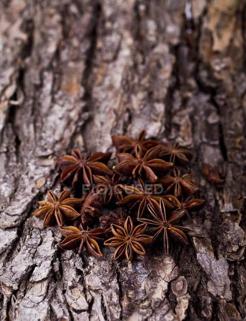 Star anise on a piece of bark — Stock Photo