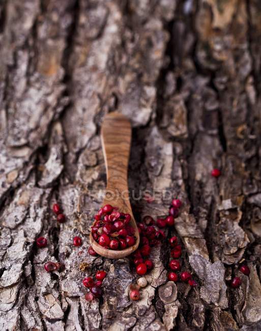 Rote Pfefferkörner auf Holzlöffel — Stockfoto
