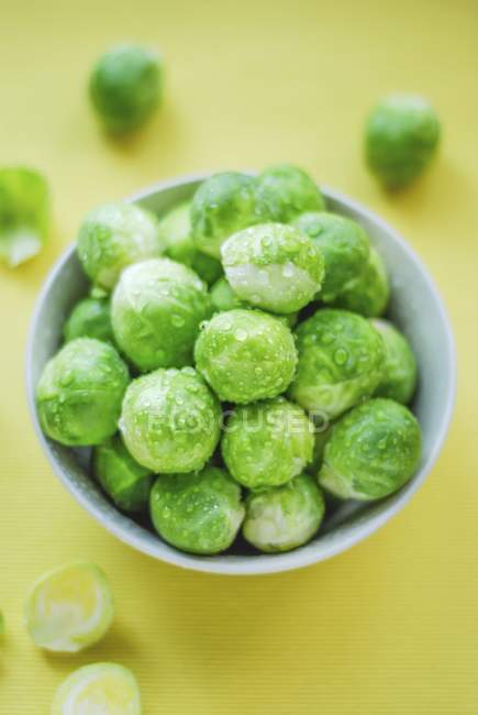Brussels Sprouts, close up — Stock Photo
