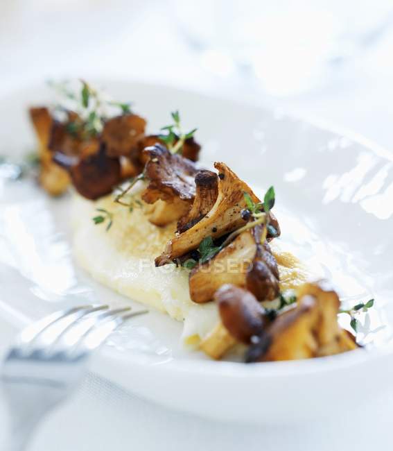 Mashed potatoes with chanterelles — Stock Photo