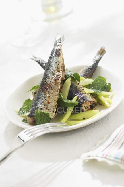Fried herring on vegetable salad — Stock Photo
