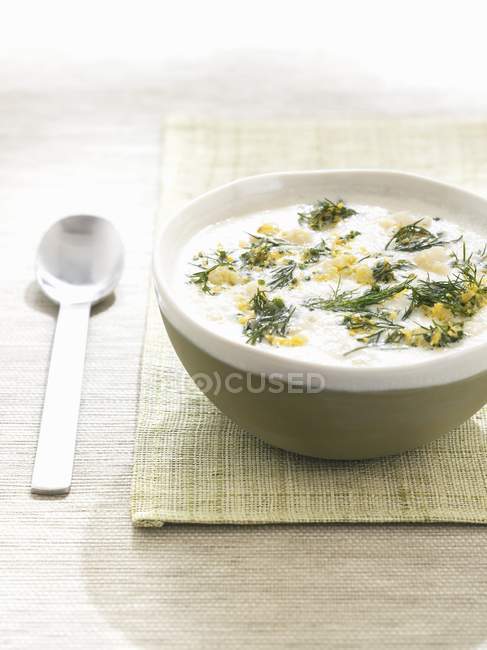 Fish soup with dill — Stock Photo