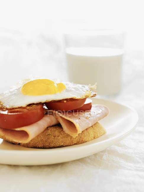 Grilled bread with ham — Stock Photo