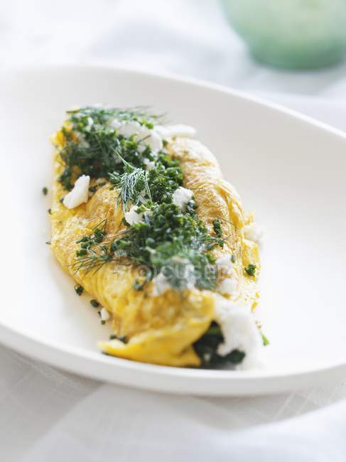 Closeup view of omelette with chives and dill in white dish — Stock Photo